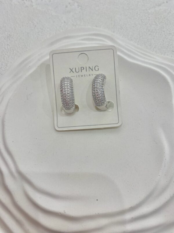 Xuping Taşlı Balon Çelik Halka Küpe